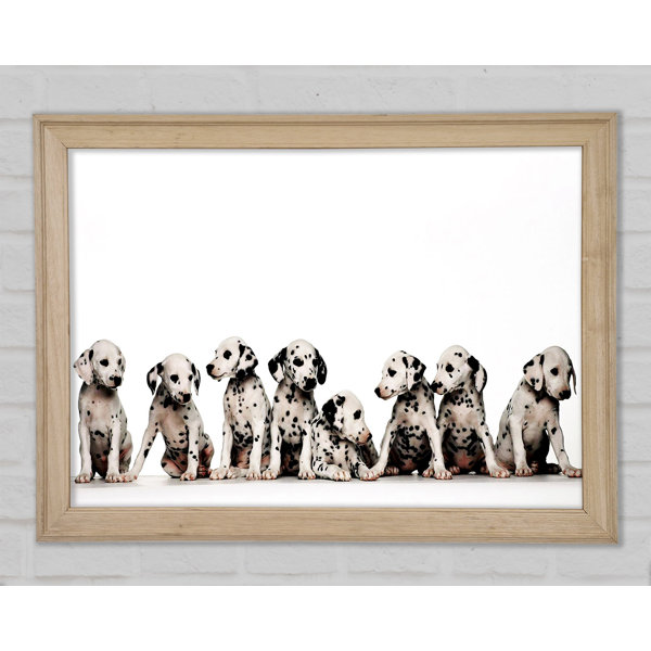 Brayden Studio Dalmatian Puppy Fun - Single Picture Frame Art Prints ...
